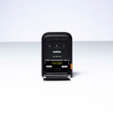 brother-pars001-3.jpg