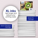 epson-c13t02h24010-4.jpg
