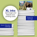 epson-c13t24354012-4.jpg