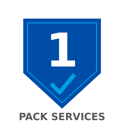 Pack Services Sur Site 1 an Brother ZWPS60102, intervention sous 5 jours, gamme TJ