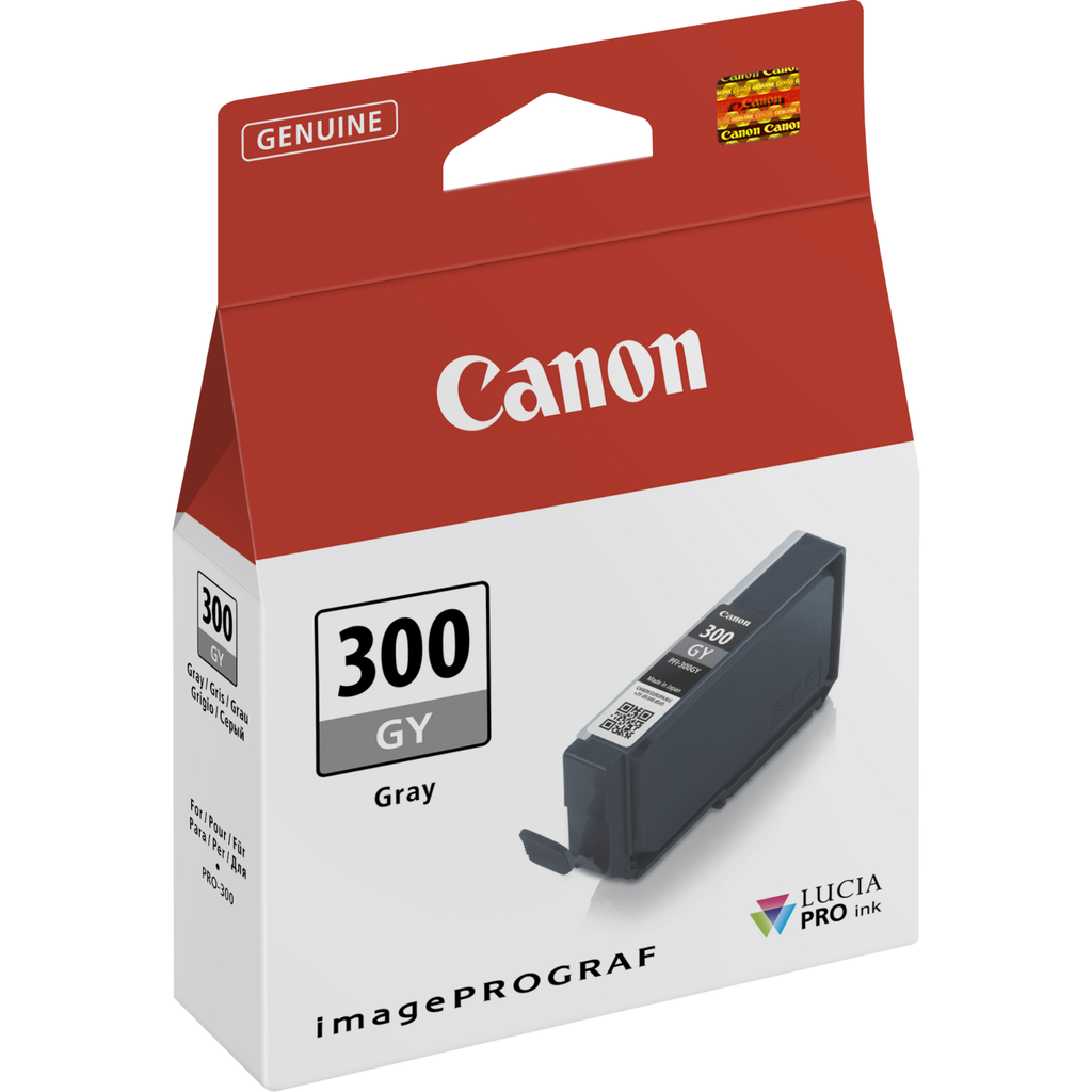 Cartouche d'encre Canon PFI-300 / 4200C001 gris