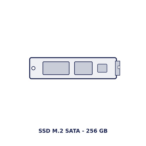 SSD M.2 SATA 256 Go SAGA M2SSD256, option d'usine